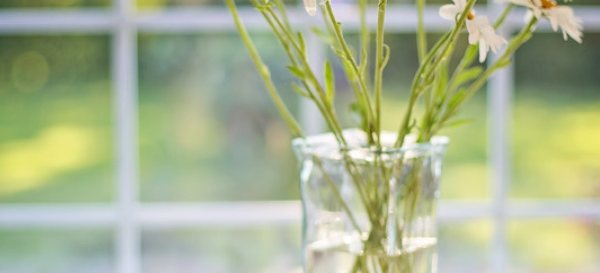 美學治療